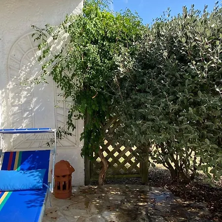 Very Bright House With Two Terraces